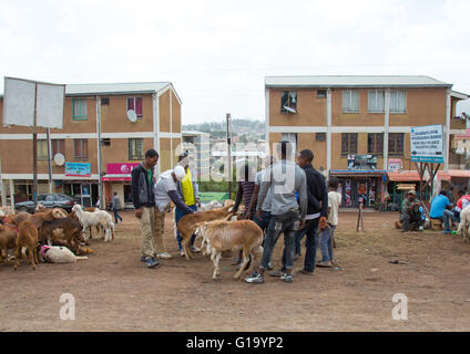Popular and middle class new apartments blocks, Addis abeba region, Addis ababa, Ethiopia Stock Photo