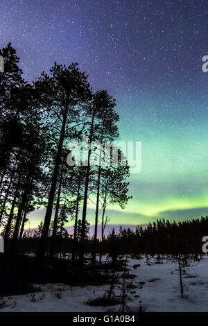 Aurora borealis in Oulu, Finland Stock Photo