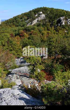 Tree and cliffs Shawangunk Mountains, The Gunks New York A Stock Photo