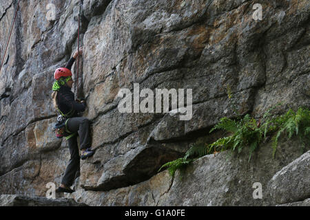 Rock Climber Shawangunk Mountains, The Gunks, New York Stock Photo