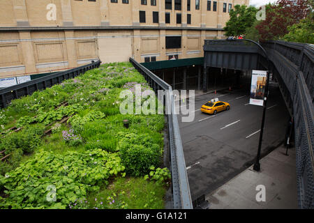 An overgrown section of the High Line, at the Northern Spur Preserve, in New York City, USA. Stock Photo