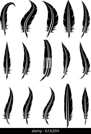 vector set of black and white feathers Stock Vector