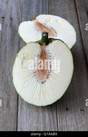 Fresh Breadfruit or also known as Artocarpus altilis Stock Photo