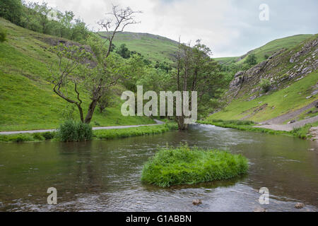 The River Dove near Thorpe Cloud in the Peak District, Derbyshire, England Stock Photo