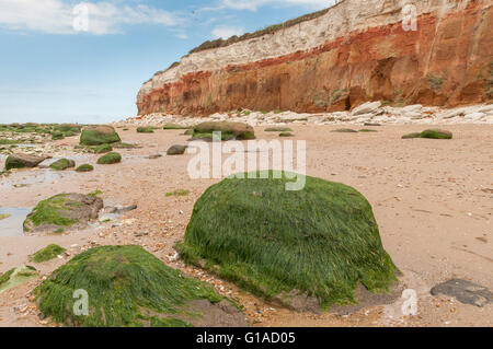 Seaweed covered rocks on the beach at Old Hunstanton under the Cretaceous layers of the Hunstanton cliffs Stock Photo