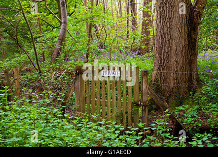 Private sign on gate in Blakes Wood, near Danbury, Essex, England UK Stock Photo