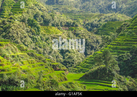 2000 year old rice terraces carved into the mountains in Banaue, North Luzon Stock Photo