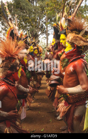 The Huli Wigmen Tribe attending the Piaya Village Sing Sing near Mt Hagen in Papua New Guinea Stock Photo