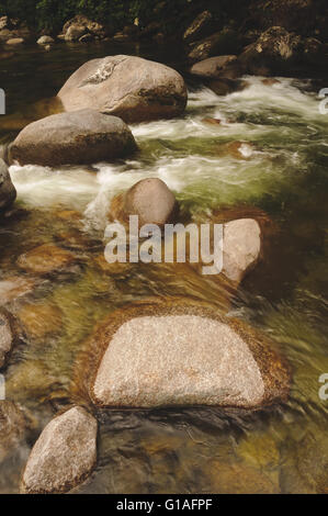 Mossman gorge river near Port Douglas in far north Queensland Stock Photo