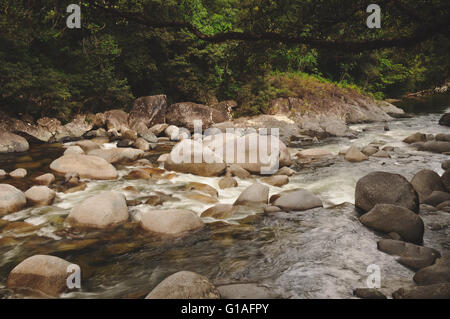 Mossman gorge river near Port Douglas in far north Queensland Stock Photo