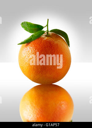Fresh whole Red Grapefruit with leaves Stock Photo