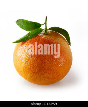 Fresh whole Red Grapefruit with leaves - cut out white background Stock Photo