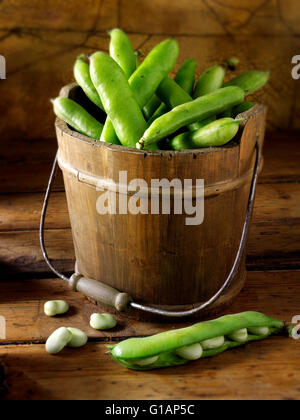 Fresh picked broad beans in pods in a bucket Stock Photo