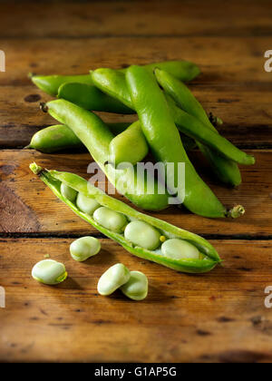 Fresh picked broad beans in pods Stock Photo