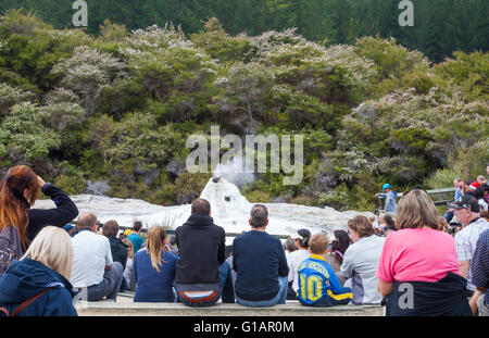 Tourists watching Lady Knox Geyser erupting in Wai-O-Tapu Thermal Wonderland in Rotorua, New Zealand Stock Photo