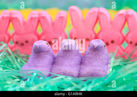 Colored Easter Peeps on plastic grass Stock Photo