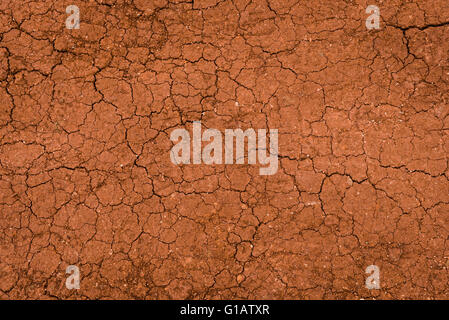 Dry land surface with cracks in the summer Stock Photo