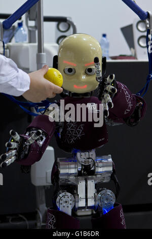 Torino, Italy. 12th May 2016. Italian humanoid robot iCub built by Italian Institute of Technology (Istituto Italiano di Tecnologia) tries to catch a ball Stock Photo