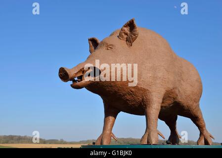 France, Ardennes, Saulces Monclin, Woinic, the largest boar in the ...