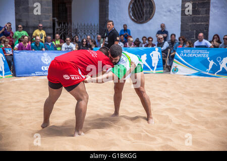 canarian wrestling public exhibition Stock Photo