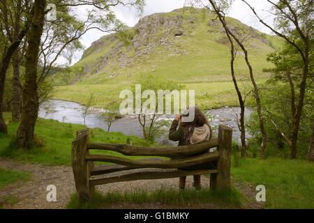 Woman sitting on a rustic wooden bench taking photos, Dinas RSPB reserve, Wales, UK. Stock Photo
