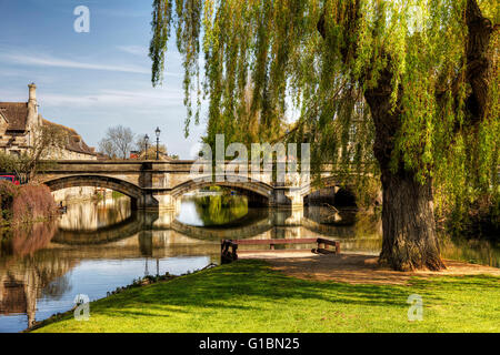 Stamford Lincolnshire UK town river welland bridge weeping willow tree SALIX England English towns Stock Photo