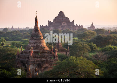 Evening view of the Dhammayangyi temple in Bagan, Myanmar Stock Photo