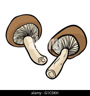 cartoon illustration of two mushrooms isolated on white Stock Vector