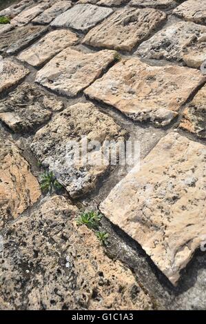 Stone pavement in detail and in perspective. Vertical image Stock Photo