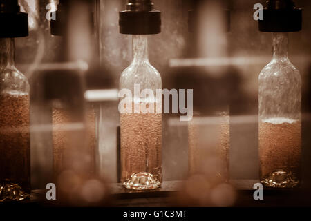 Bottle filling,wine bottles filled with wine Stock Photo