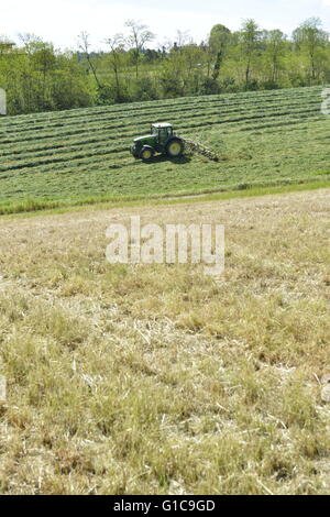 Green Tractor turning grass in Emilia Romagna, Italy Stock Photo