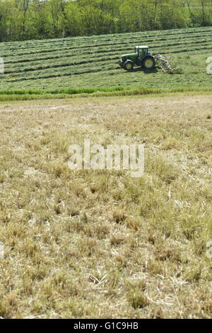 Green Tractor turning grass in Emilia Romagna, Italy Stock Photo