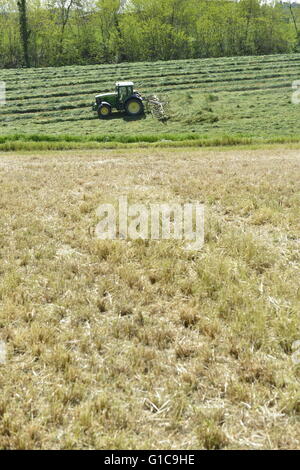 Green Tractor turning grass in Emilia Romagna, Italy Stock Photo