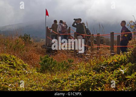 Hikers of the slopes of Hallasan, South Korea's highest mountain Stock Photo