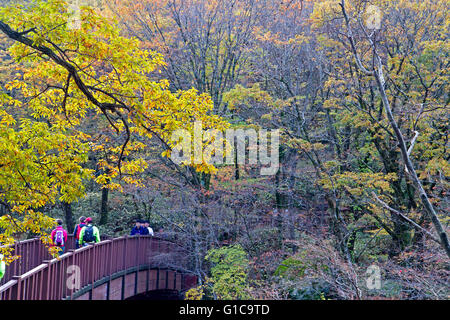 Hikers of the slopes of Hallasan, South Korea's highest mountain Stock Photo