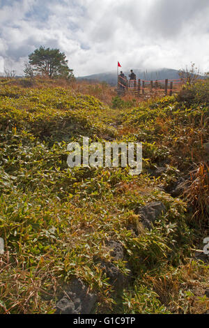 Hikers of the slopes of Hallasan, South Korea's highest mountain Stock Photo