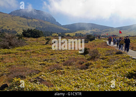 Hikers of the slopes of Hallasan, South Korea's highest mountain Stock Photo