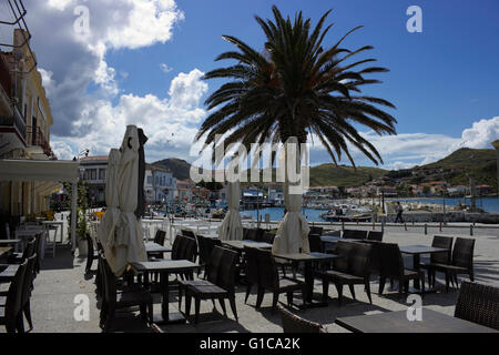 Palm tree and empty cafe-restaurant tables with seats on the sidewalk of the harbour's promenade overlooking the city's quay.