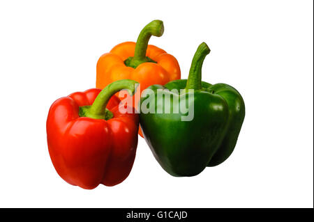 Bell Pepper Capsicum red yellow orange green. Group of  3 peppers. Stock Photo