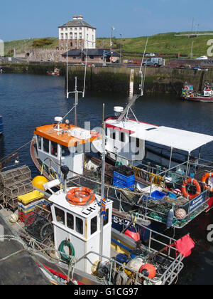 boat fishing trips eyemouth