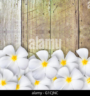 Frangipani flower  on wood floor, design for background Stock Photo