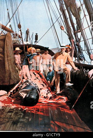 Prince Albert and crew posing on the deck of the Princess Alice; near a dissected whale 1912 Stock Photo