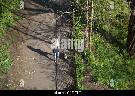 young girl with small dog walking in Kelvingrove Park shot from above, on a sunny day, Kelvingrove Park, Stock Photo