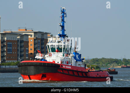 Tug SD Shark  operated by KOTUG SMIT TOWAGE, heads up river to meet an incoming vessel. Stock Photo