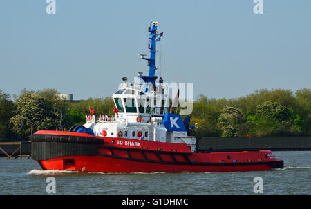 Tug SD Shark operated by KOTUG SMIT TOWAGE, heads up river to meet an incoming vessel. Stock Photo