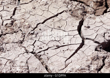 Cracked earth. Stock Photo