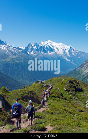 Europe, France, Haute Savoie, Rhone Alps, Chamonix, Chamonix trail running marathon, Mont Blanc 4810m Stock Photo