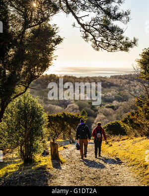 Walkers descending from Arnside Knott in the Arnside–Silverdale Area of Outstanding Natural Beauty Cumbria with view over Moreca Stock Photo