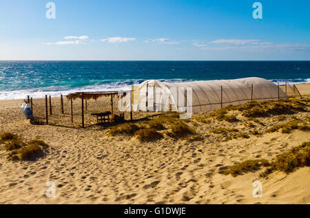 Protected enclosure on beach to help save sea turtles near Todos Santos, Baja Sur, Mexico. Stock Photo