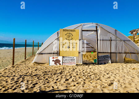 Protected enclosure on beach to help save sea turtles near Todos Santos, Baja Sur, Mexico. Stock Photo